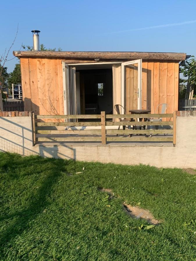 Molehill Lodge Swansea Exterior photo