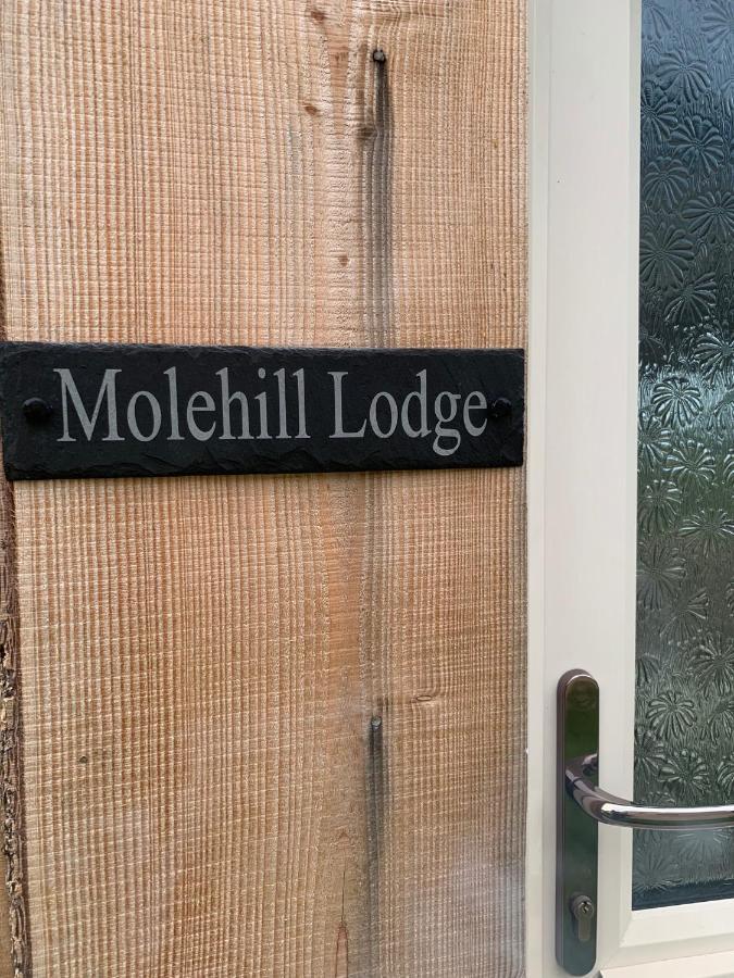 Molehill Lodge Swansea Exterior photo